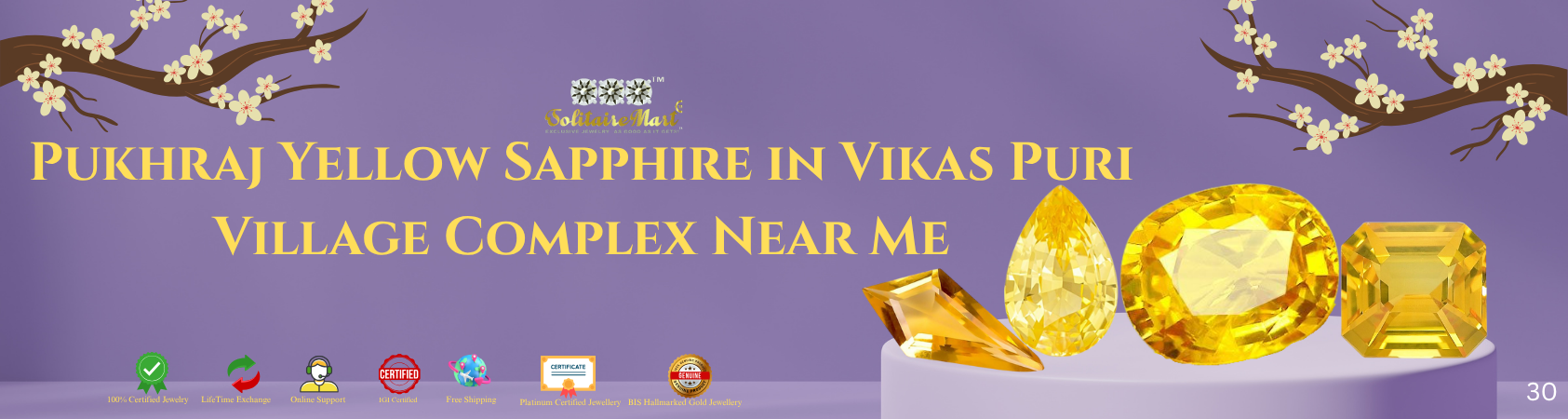 Saphir Jaune Pukhraj dans le complexe du village de Vikas Puri près de chez moi